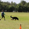IMG_1275