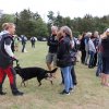 IMG_1304