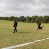 IMG_1315