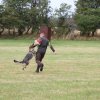 IMG_1331